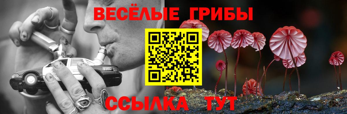 Псилоцибиновые грибы Magic Shrooms Долгопрудный