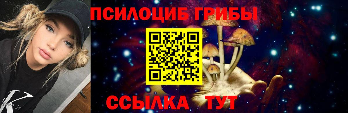 Галлюциногенные грибы мухоморы  Вход с VPN  купить   Долгопрудный  Псилоцибиновые грибы Cubensis 